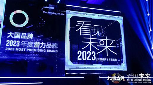 王者瓷砖荣获2023大国品牌【年度潜力品牌】荣誉